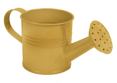 BÁKELCE NA LITÍ ZLATÁ 8