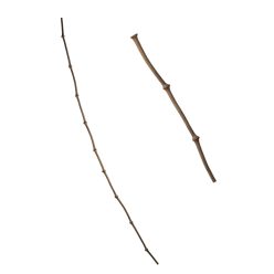 TER.BAMBUSE 150CM