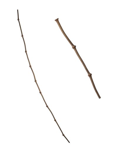 TER.BAMBUSE 150CM