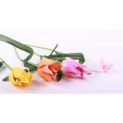 TULIPÁNSTONKOVÝ            50CM