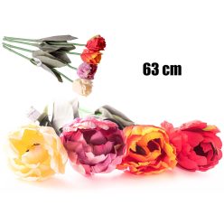 TULIPÁN STONKOVÝ 4S      63CM