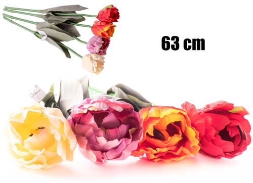 TULIPÁN STONKOVÝ 4S      63CM
