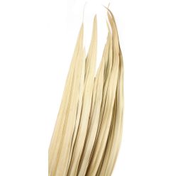 TROPICKÝ LISTOVÝ VÝŘEZ*10 PŘÍRODNÍ100CM