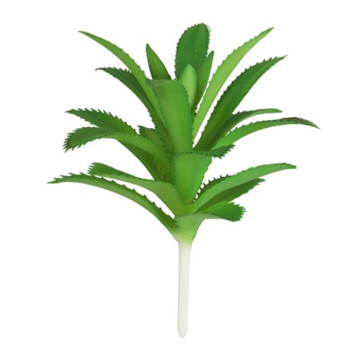 TRNITÝ LIST ORCHIDEJ  12*9CM