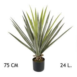 YUKKA ZÖLD 24LEVÉL     75CM