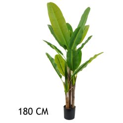 BANÁN STROM ZELENÝ 3KMEŇ  180CM