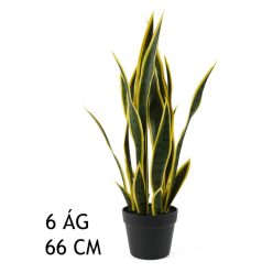 JAZYK TCHYNE ZELENÁ/ŽLUTÁ 6VĚT 66CM