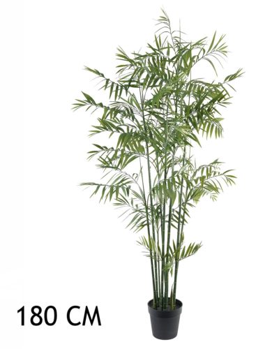 BAMBUSOVÁ PALMA ZELENÁ     180CM