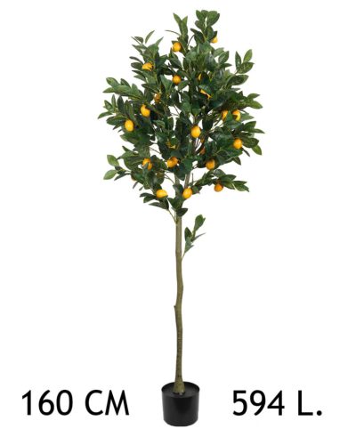 CITROMFA 594LISTŮ Z/S 160CM