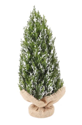 TISÍKOVÝ KEŘ+PYTLÍK BÍLÝ+ŠEDÝ43CM