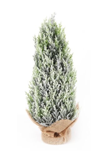 TISÍKOVÝ KEŘ+PYTLÍK JEDLOVÝ43CM