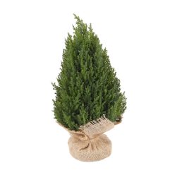 TISÍKOVÝ KEŘ+PYTLÍK ZELENÝ 33CM