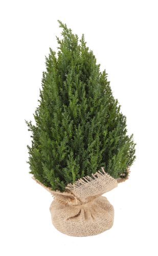 TISÍKOVÝ KEŘ+PYTLÍK ZELENÝ 33CM