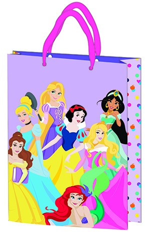 Dárková taška 23x18x8,5 cm, laminovaná plastová plocha - Disney Princess