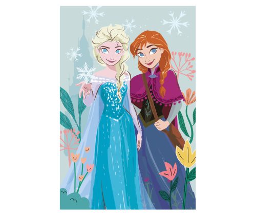Disney Ledové království polární deka - 100 x 150 cm