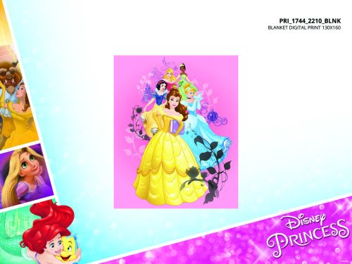 Disney Princezny polární deka - 100 x 150 cm